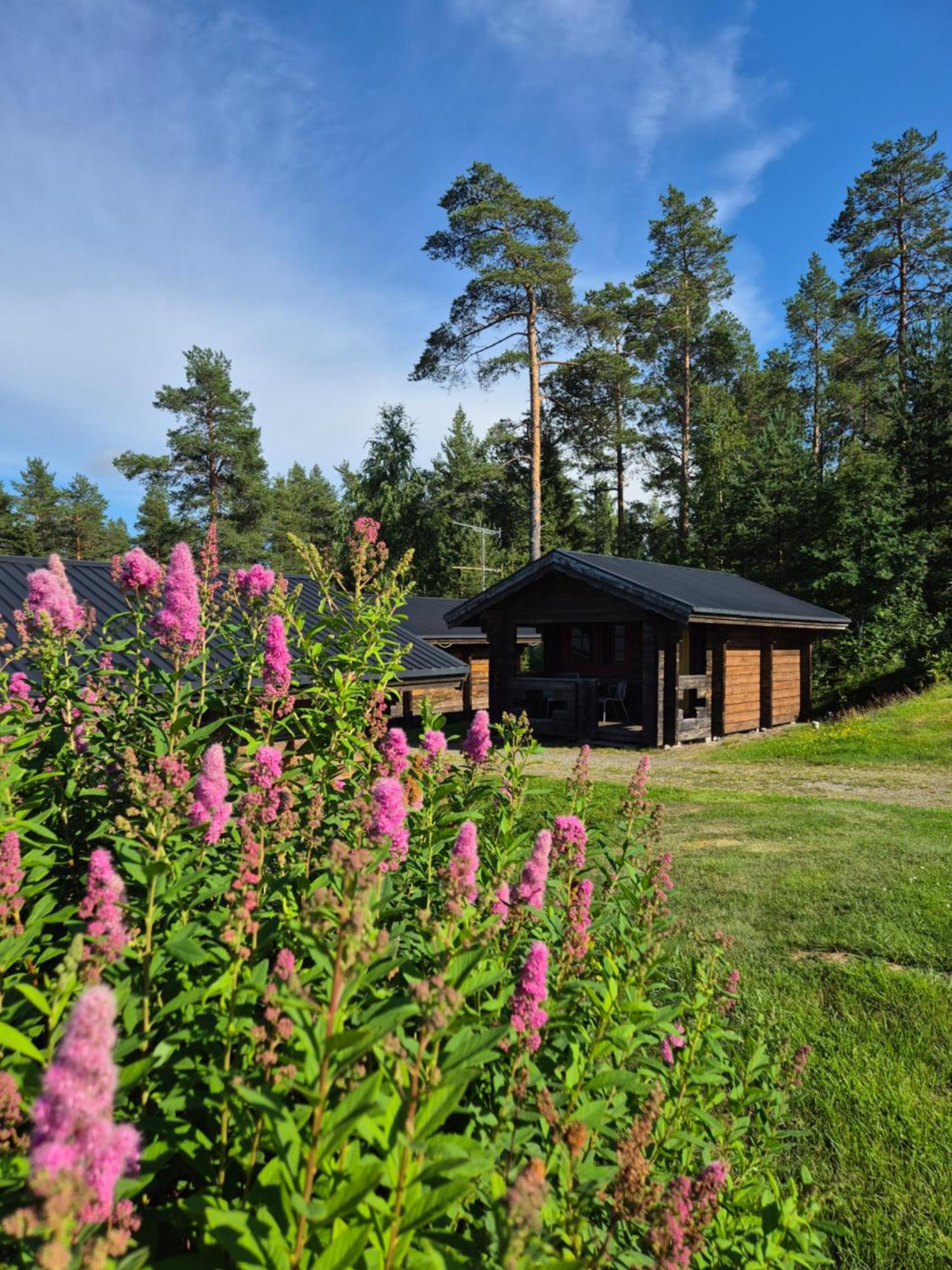 Lufta Camping & Restaurang Ånäset Exteriör bild