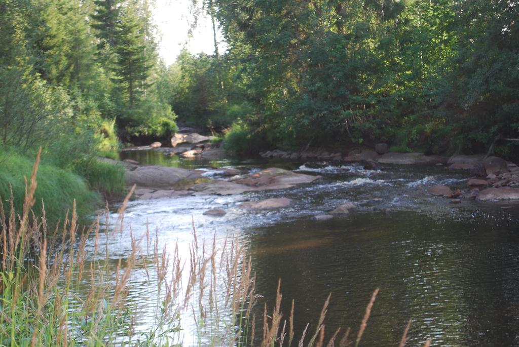 Lufta Camping & Restaurang Ånäset Exteriör bild