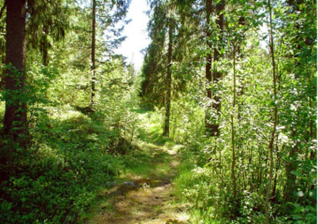 Lufta Camping & Restaurang Ånäset Exteriör bild
